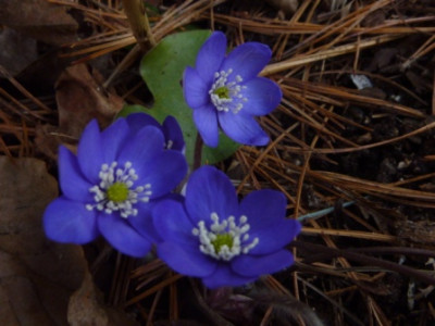P1020878.JPG