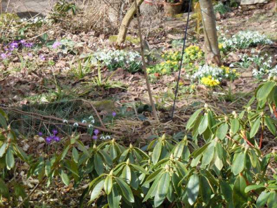 vor_dem_Temperatursturz_09.03.13_003.JPG