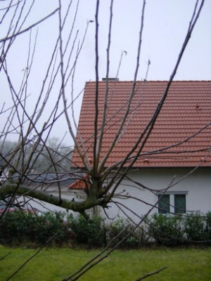 abbel4.jpg