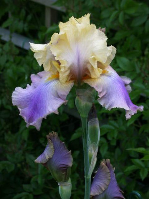 DSCN0234001.jpg