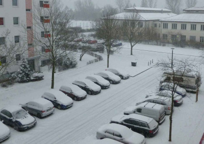 Winter10313F.jpg