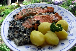 Lachs_auf_Guten_Heinrich_005.jpg