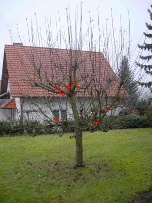 abbel_gross_Vorschlag.jpg