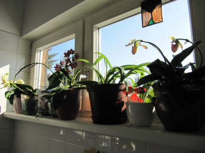 Morgensonne_im_Badezimmer.jpg