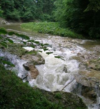 Laudach_-_Wasserfall.jpg