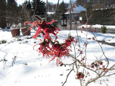 Feuerzauber_1130315.jpg
