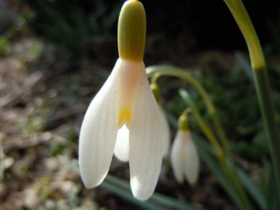 Ostersonntag_31.03.13_007.JPG