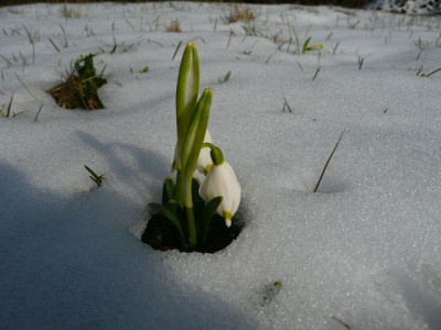 tg_130320_1.jpg