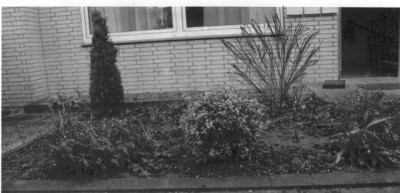 Vorgarten.001a.jpg