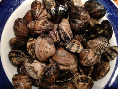 vongole-allameng_zg0.jpg