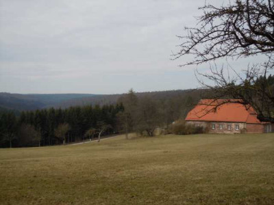 spaziergang_24.03.13_002.JPG