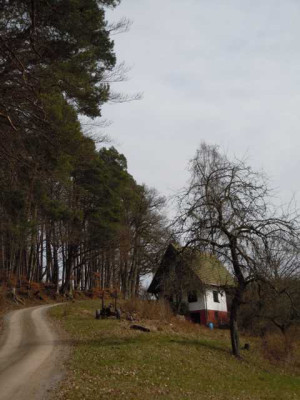 spaziergang_24.03.13_007.JPG