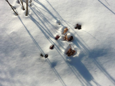 helli_20130124_zg.jpg