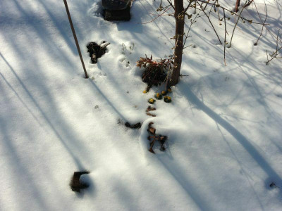 helli2_20130124_zg.jpg