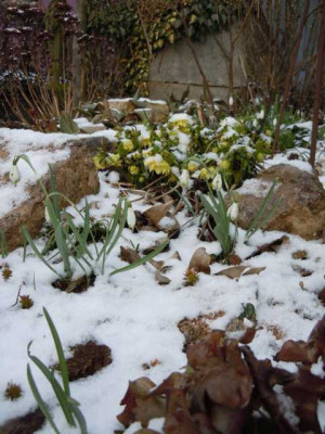 karfreitagsschnee_29.03.13_006.JPG