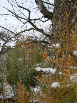 karfreitagsschnee_29.03.13_008.JPG