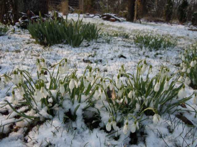 karfreitagsschnee_29.03.13_010.JPG