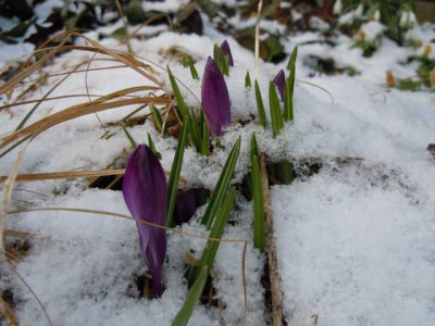 karfreitagsschnee_29.03.13_002.JPG