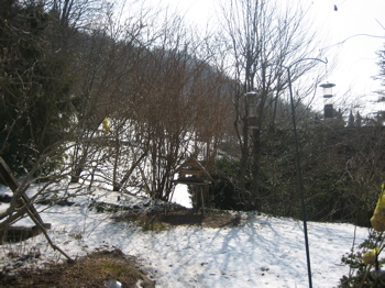 IMG_7874.jpg