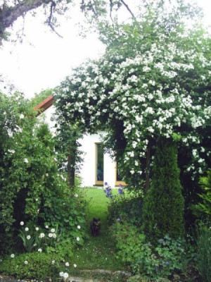 Rosenbogen_14.06.05_2.jpg