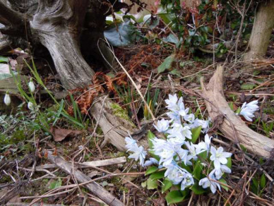 Ostersamstag_30.03.13_013.JPG
