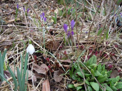 Ostersamstag_30.03.13_005.JPG
