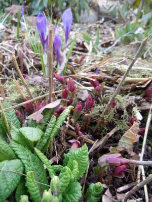 Ostersamstag_30.03.13_006.JPG