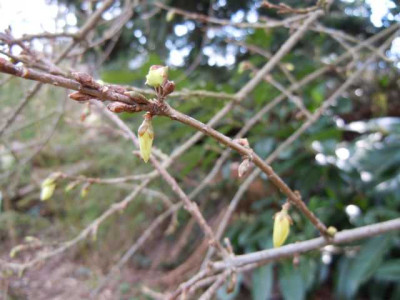 Ostersonntag_31.03.13_008.JPG