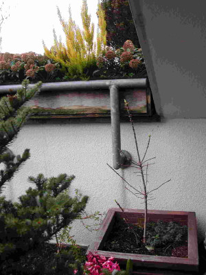 DSCN7484.jpg