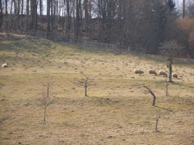 Wachengrund_Ostern_01.04.2013_007.JPG