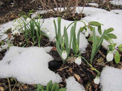 Glucklich_130406.jpg