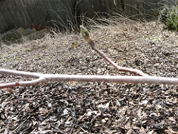 BILD1674.JPG