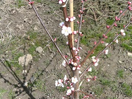 BILD1666.JPG