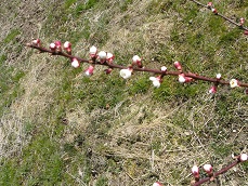 BILD1655.JPG