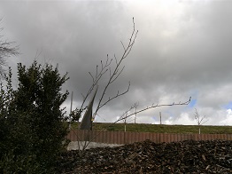 BILD1676.JPG