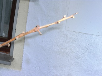 BILD1646.JPG