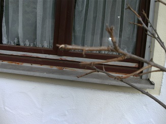 BILD1645.JPG