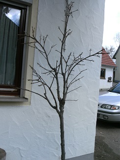 BILD1643.JPG