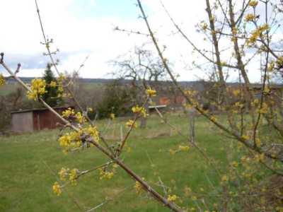 12.04.13_009.JPG