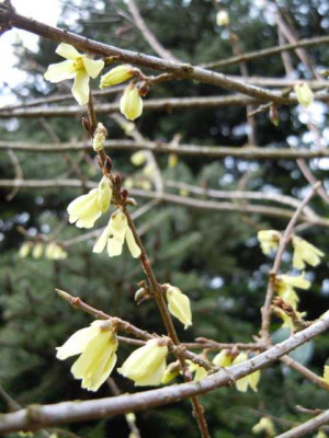 12.04.13_017.JPG