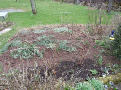 12.04.13_005.JPG