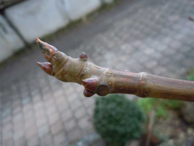 12.04.13_023.JPG