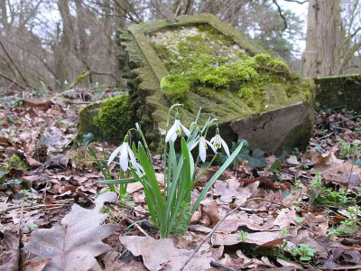 Friedhof_14.8.13_ue.jpg