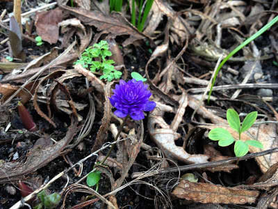 maria-theresia_20130417_zg.jpg