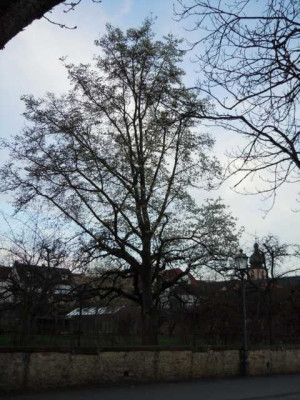 19.04.13_nurso_017.JPG