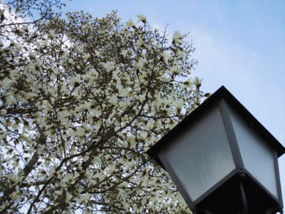 19.04.13_nurso_014.JPG