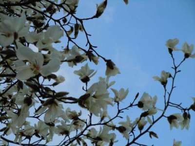 19.04.13_nurso_015.JPG