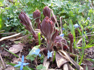 19.04.13_nurso_008.JPG