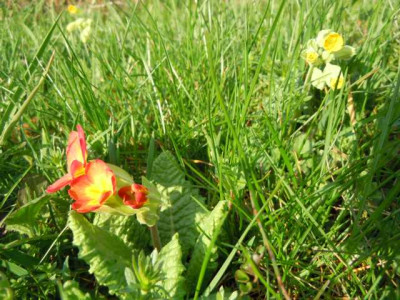 19.04.13_nurso_010.JPG