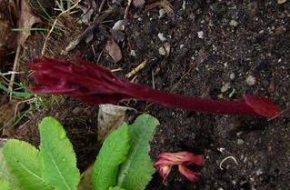 P1020198_Small_letzter.jpg